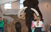 Hier wurden Rallye und Führung vorbereitet. Das Mammut gehört zu einer Sonderausstellung, die nicht dauerhaft, sondern nur noch bis Oktober im Wattenmeerhaus zu sehen ist.