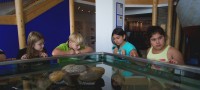 Am Aquarium im Wattenmeerhaus