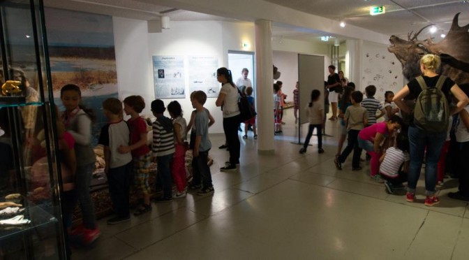 Die Kinder der Klassen 1 in der Eiszeit-Ausstellung