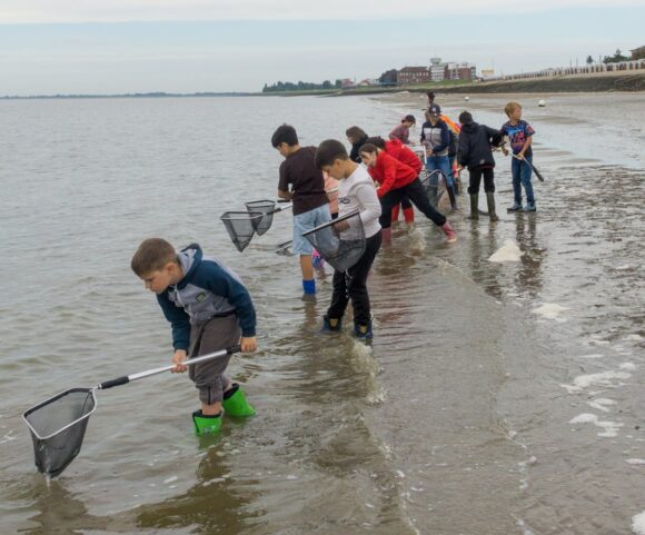 Klasse 4c keschert am Südstrand.
